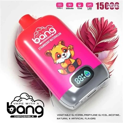 Bang Vape와 함께 여행하는 데 제한이 있습니까?