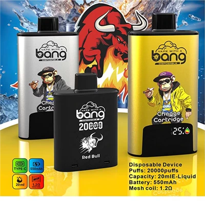 Bang Refillable Vape 200000 퍼프 일회용