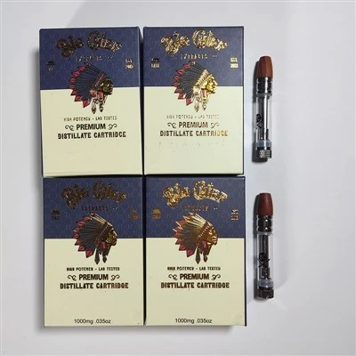 Push Carts Vape를 가지고 여행할 수 있나요?