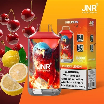 JNR FALCON 16000 퍼프 vape